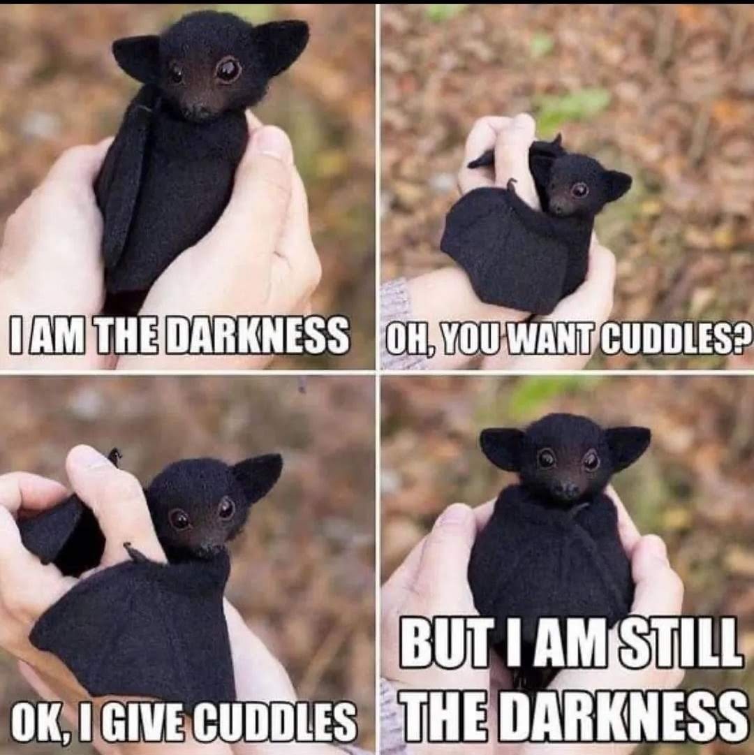 055df7c6-3082-4769-8285-1c22d21293c3