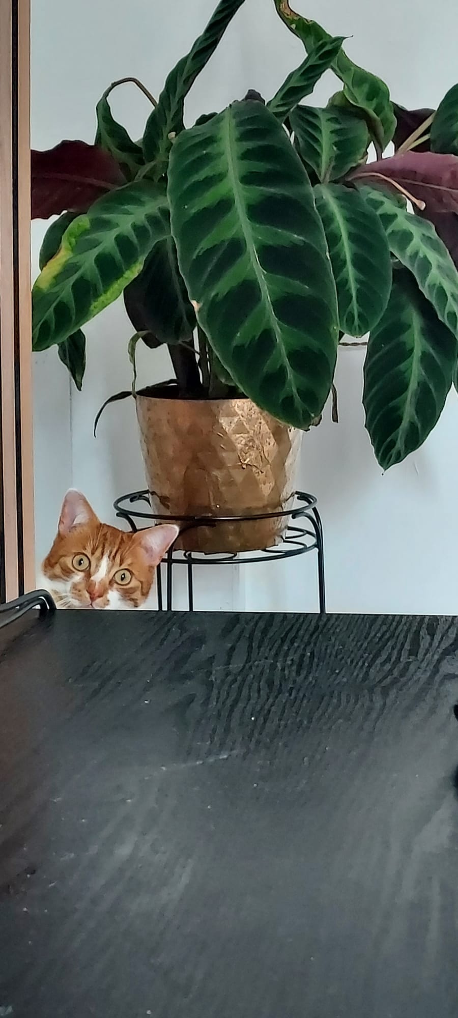 7c3c0b63-4ca5-46b5-ae6d-13dd3cee204b