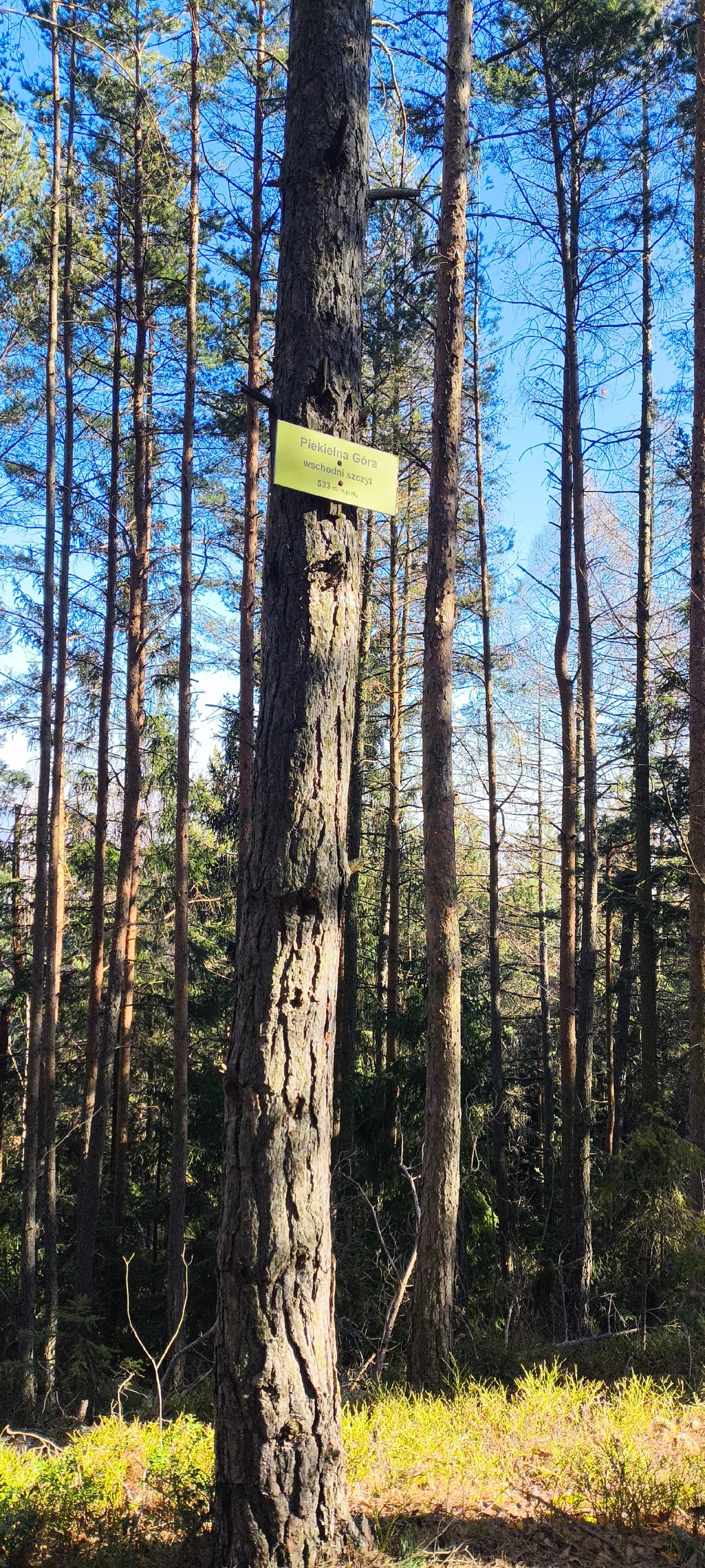 07797631-3880-45dd-86f7-7dfd9afd0a24