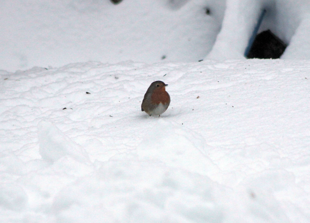 0d1918f8-341b-4393-9bca-15161d1e12aa