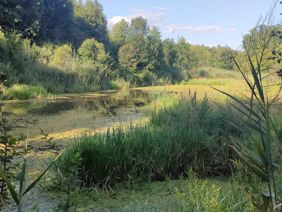 e291fca1-9b95-47cd-8875-7fe9a4f913b0