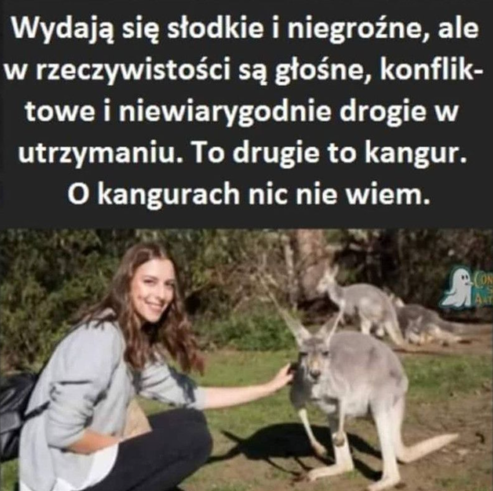 fae0b122-8e12-43ee-9082-78ac1155472e