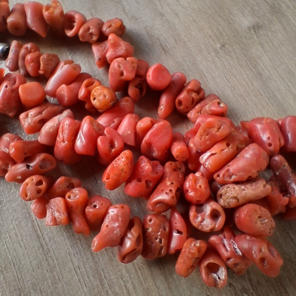 51bd13ec-8649-49e3-a76d-5858a04b9cf9