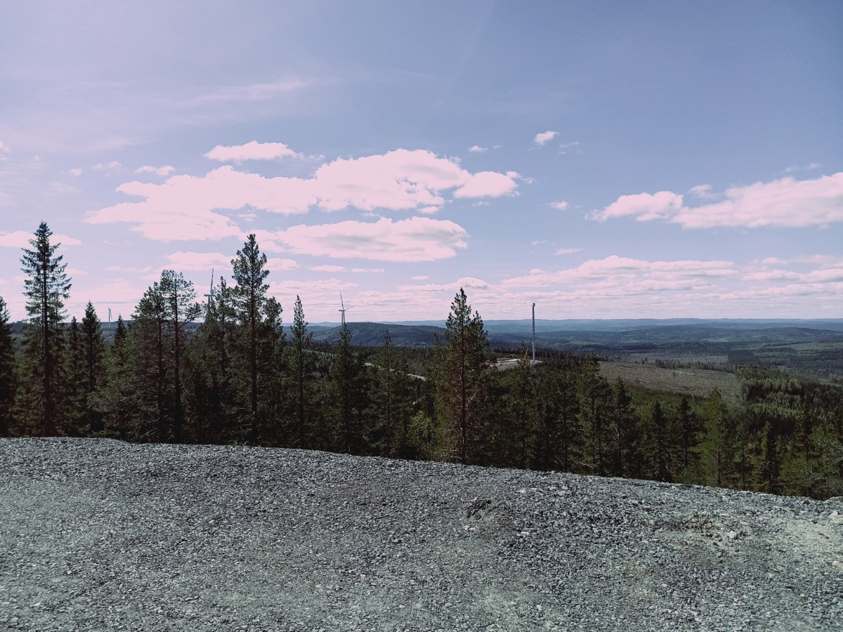 ad0354f5-057e-46f1-b618-c13a58398ed0