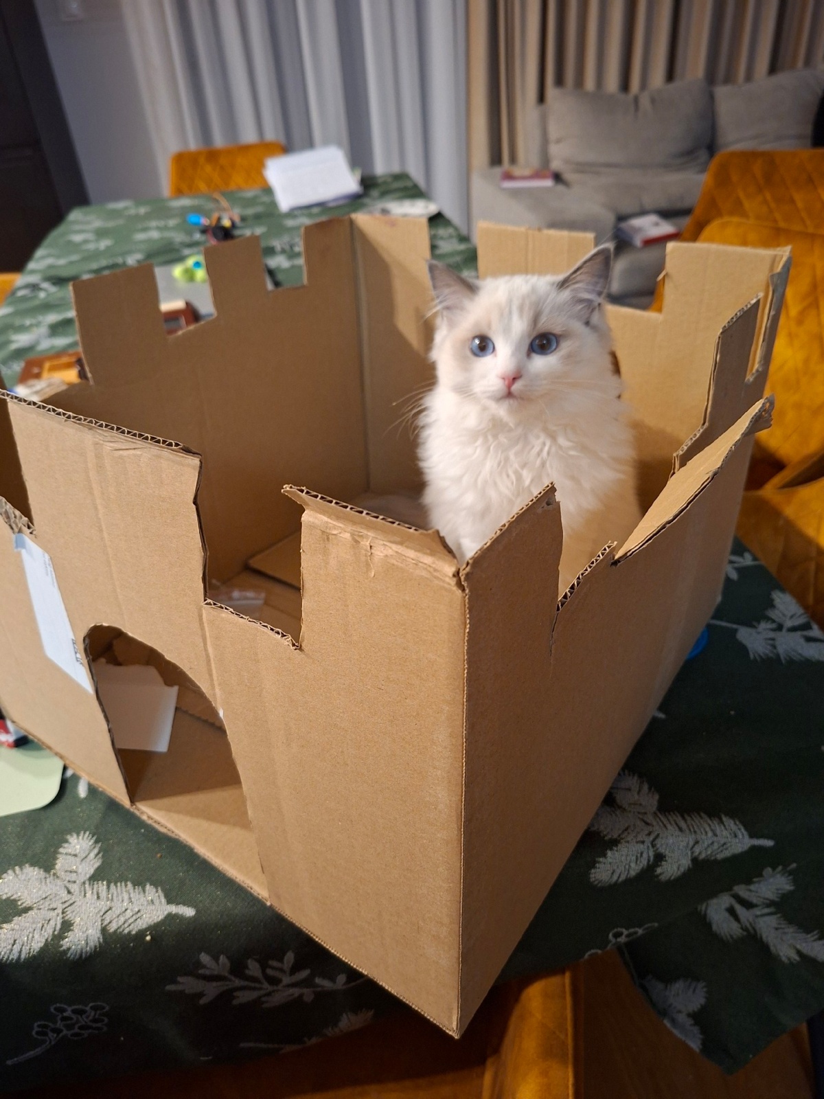 167f4b4a-1e88-4090-a5d0-21a20ec8d6bd