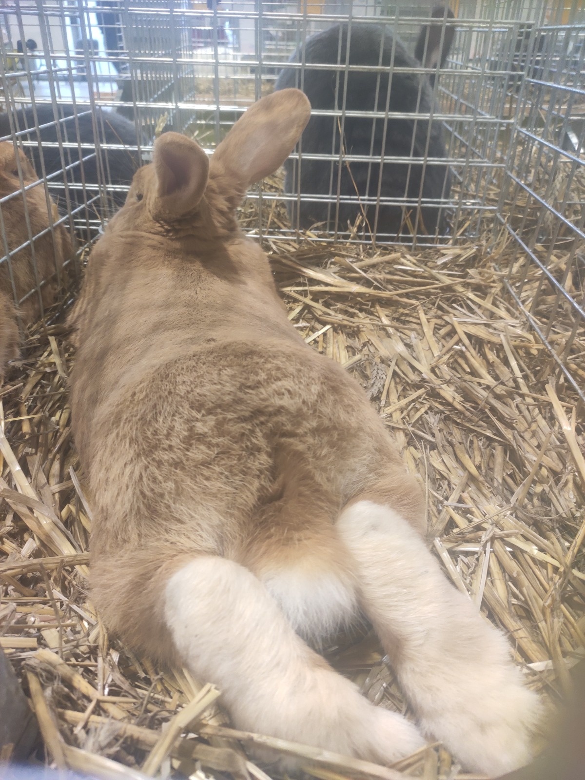 78da9f60-f642-4099-8677-bb094c6727d3