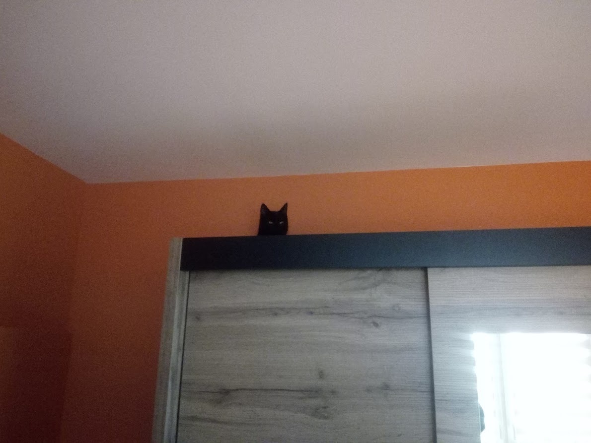 517bcde6-0332-47b7-88be-116b7e155be8