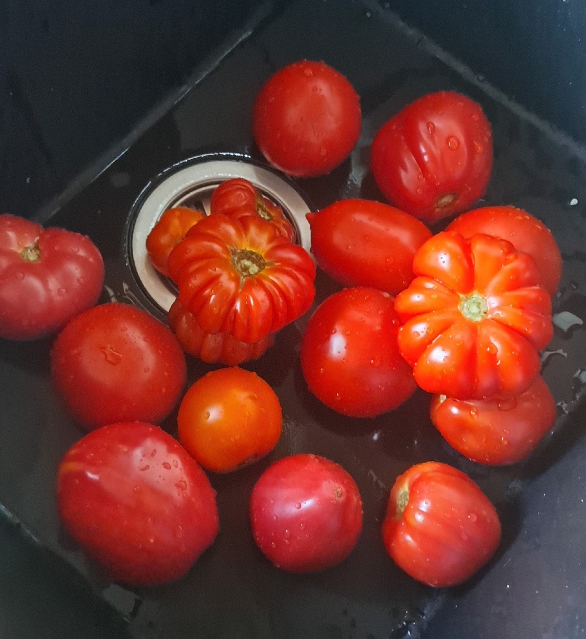 427dc786-20b9-4f99-be3d-a1de448816f6