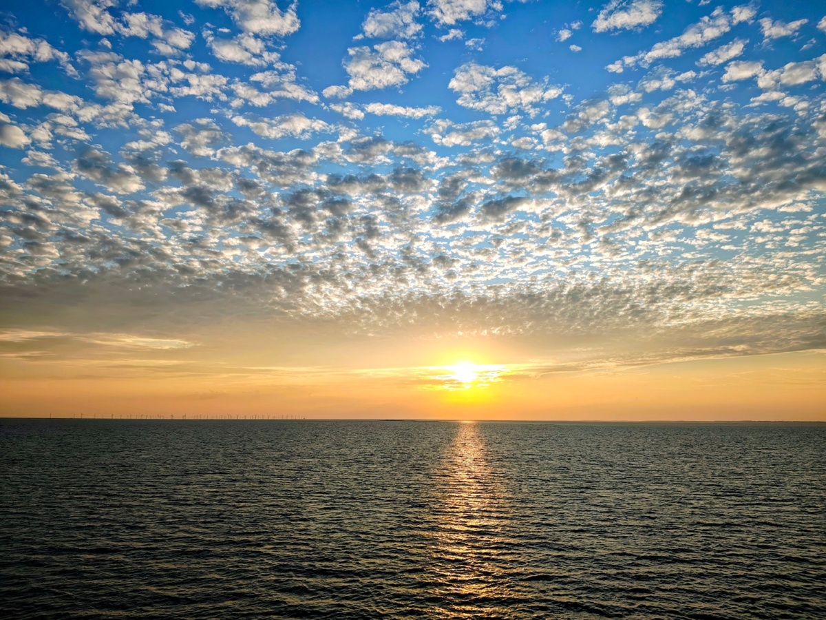 502e1088-6056-49ba-ab5d-10132ea52de9