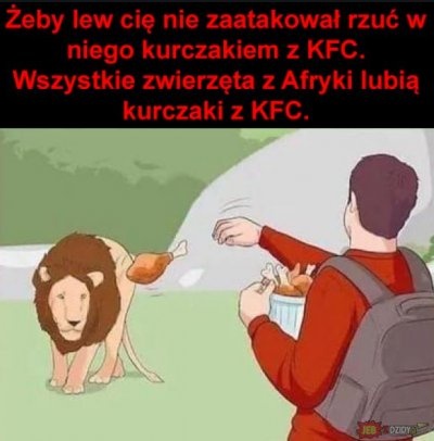 f26f1cd0-048c-4ad0-9977-d491ac003e46