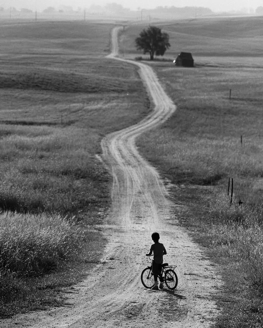 95e82536-afc2-4b08-8d26-6e6d54b05f89