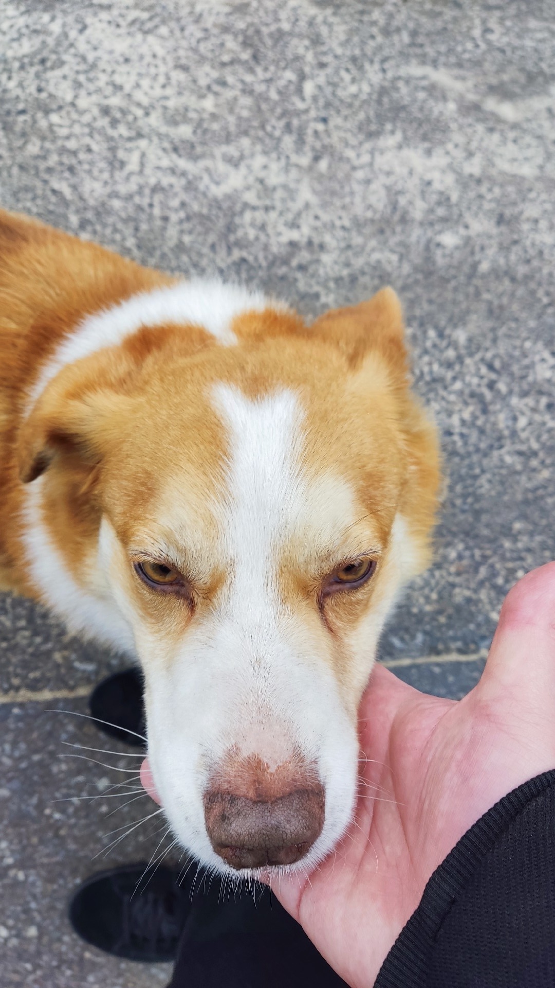 b74add5e-5abf-4f45-a8eb-e0506e353c83