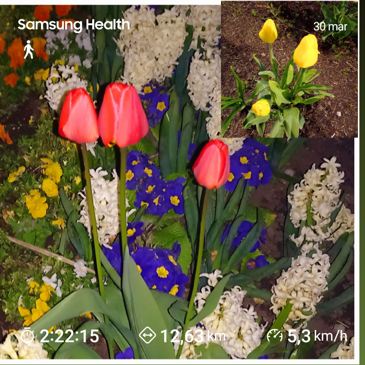 0ce82c55-f35f-4004-8cb1-87473045facc