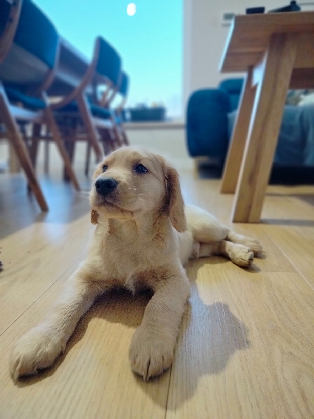 6f608ce2-6fce-4e0e-b7e0-182c97183ee3