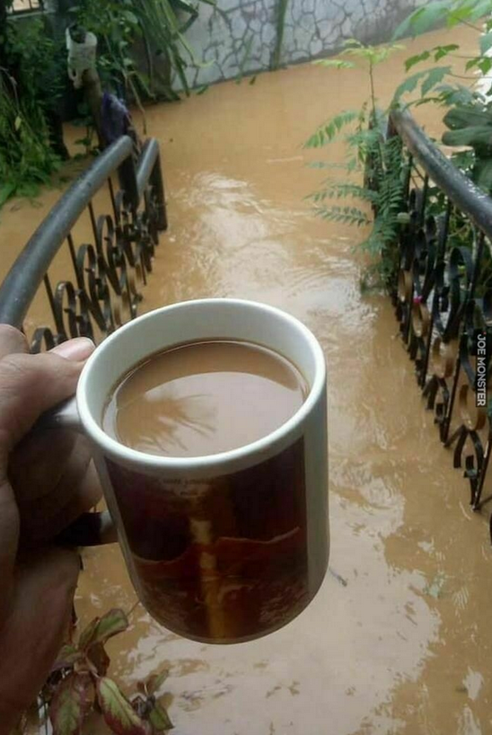 c8381984-b566-40b7-869e-14a500c4aa3e