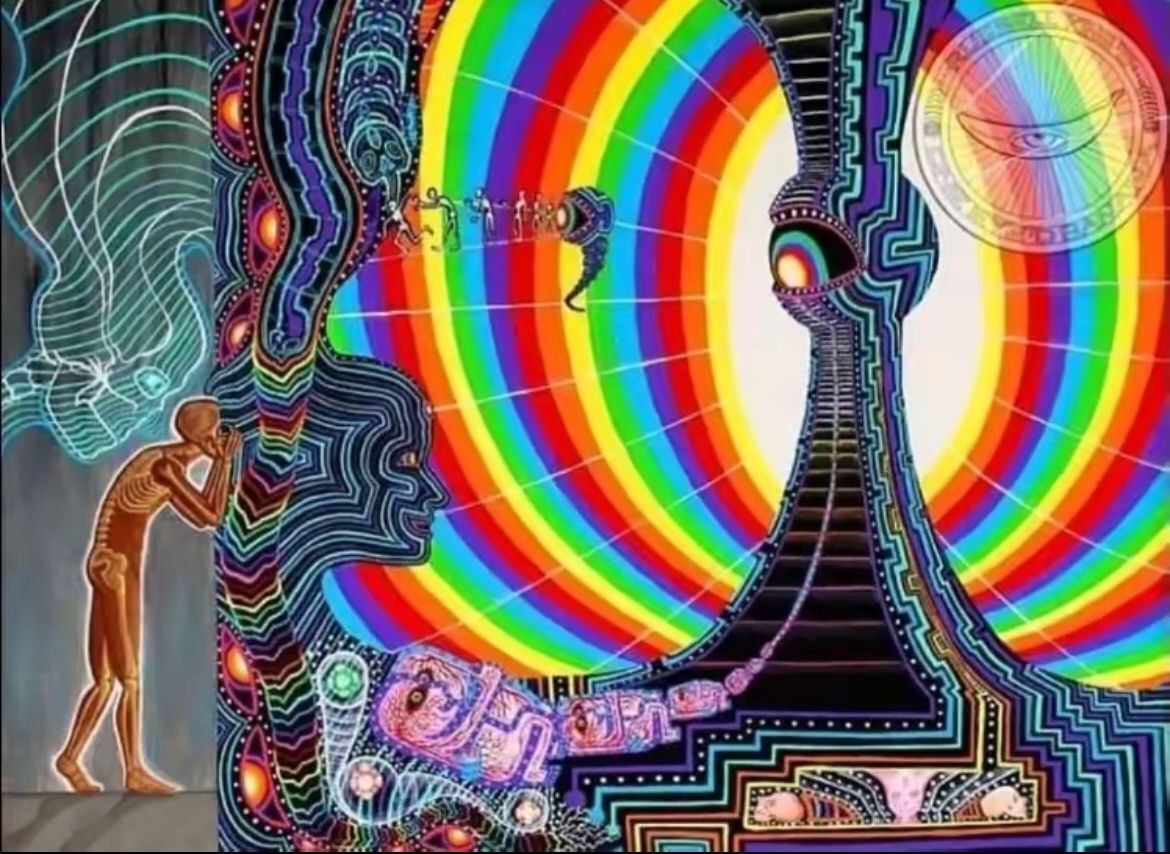 5d43b66d-c6c6-4cd1-bcaf-e8656072af3c