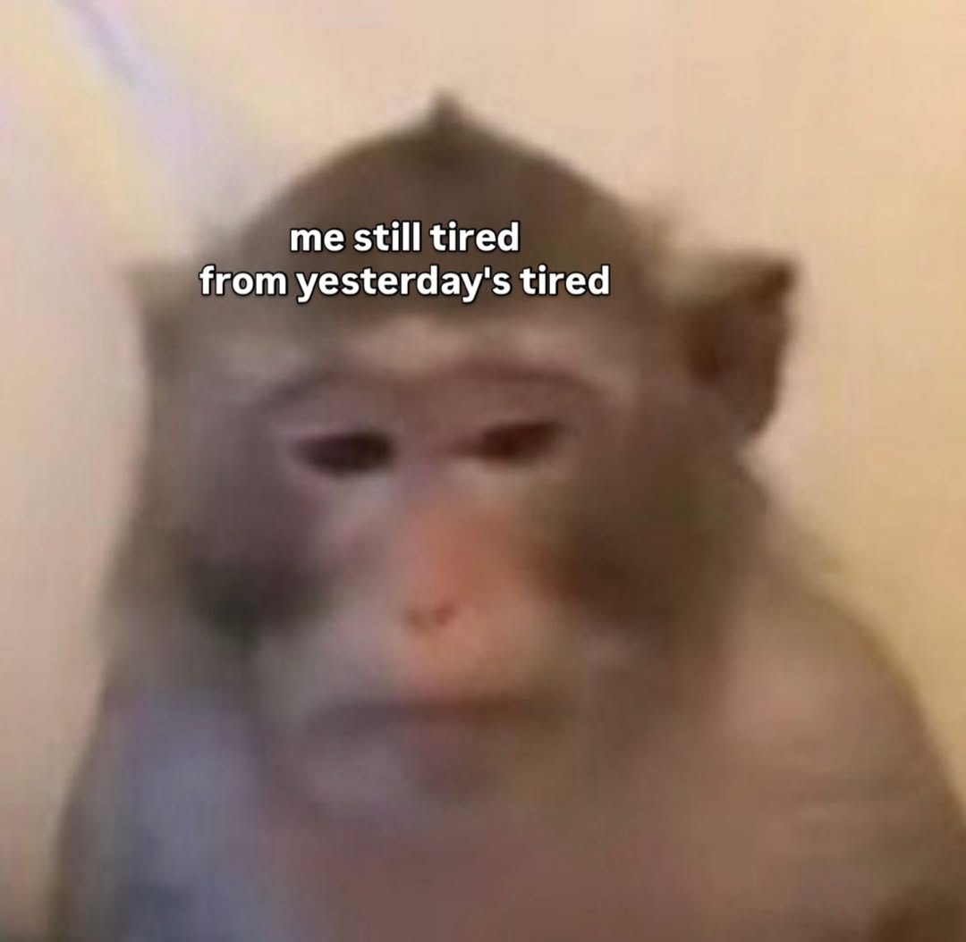 3e1b4128-c339-4d70-aee4-ad1702fce804