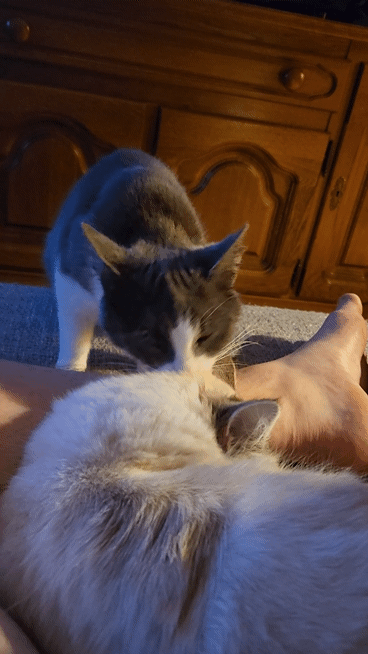 a7aa5bb2-aee9-4f1c-8389-2123c85b4e41