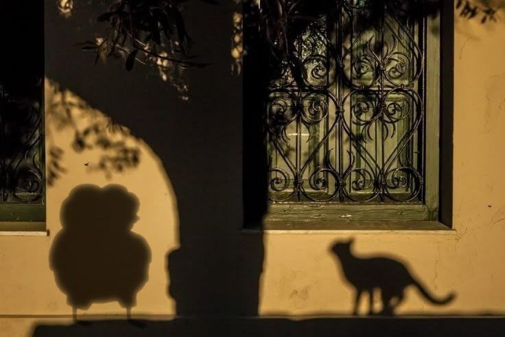 ca260350-7085-43f1-a1e0-8a074b0d7f0d