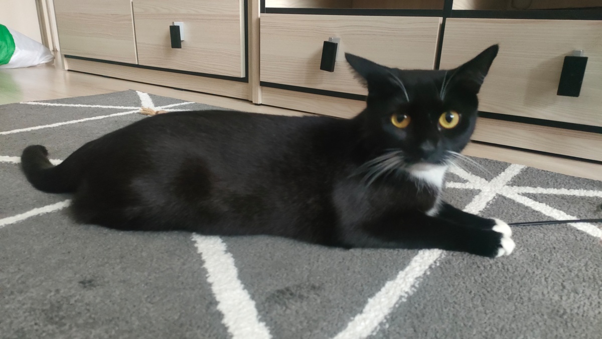 fbd1906b-11c7-452d-a1a7-74fdd1666c40