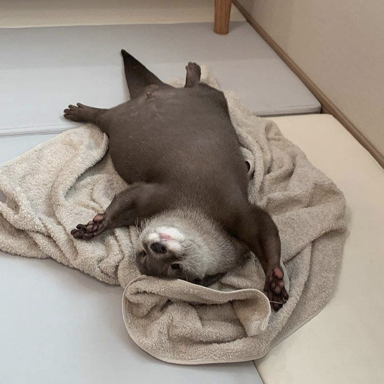 bb4f418b-a019-4eec-ba37-95d27dd7de4a