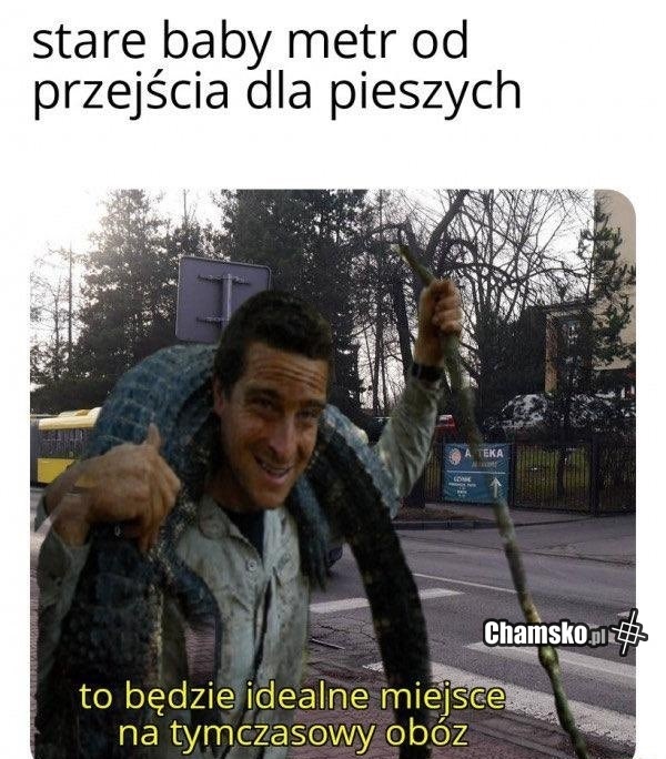 0d416b2d-fcb8-42a0-9f24-53dc176baba1