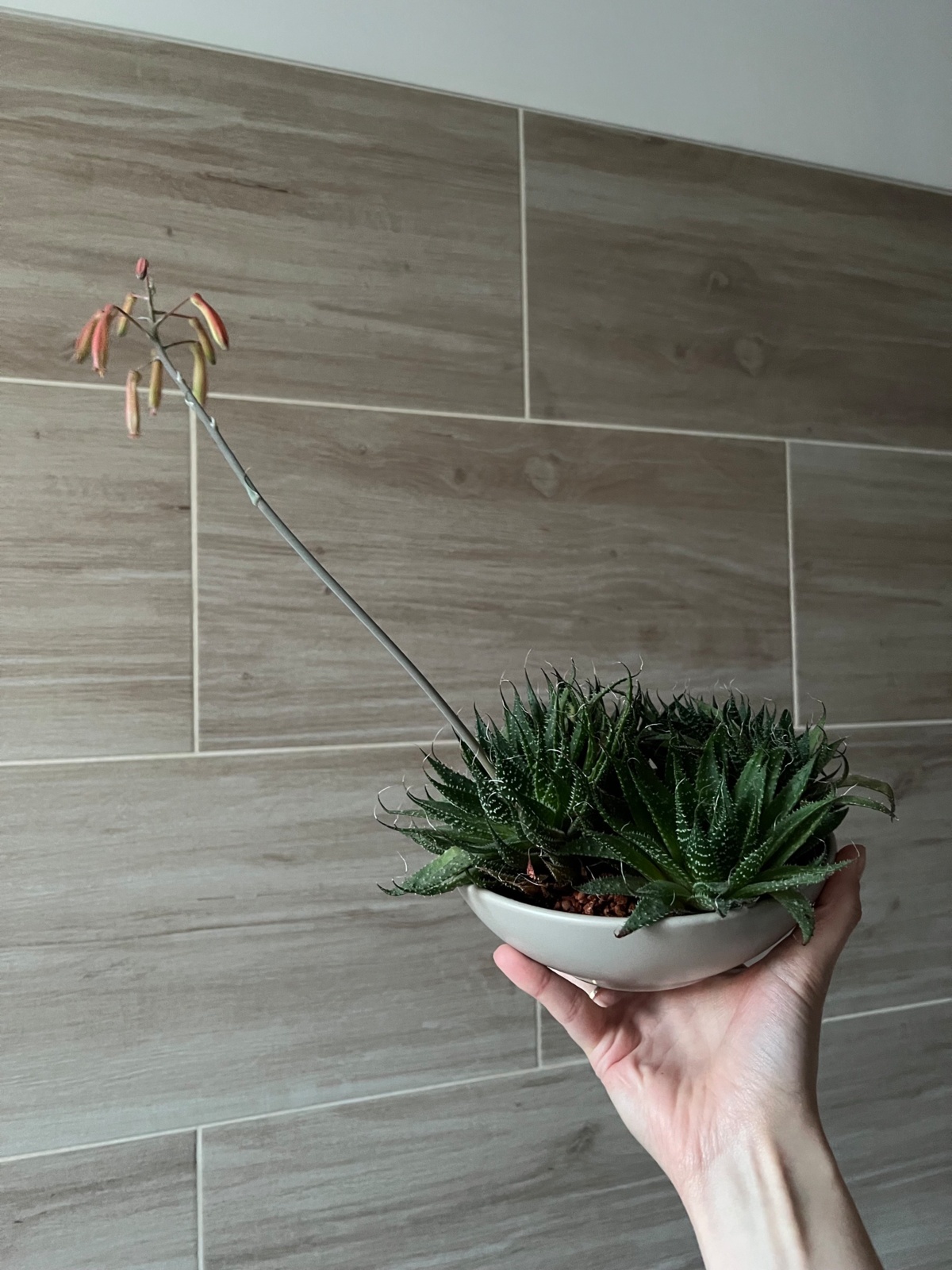 677f165b-fbd7-42e0-978a-d10df8771e2a