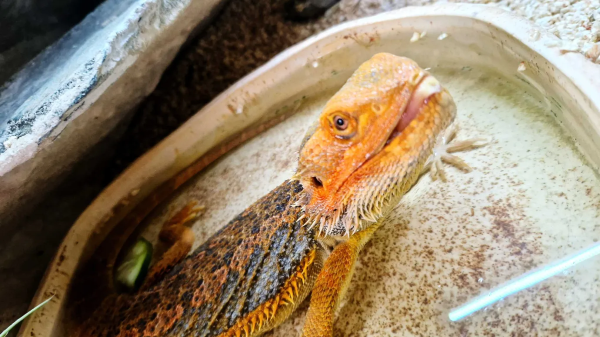 ac0a3163-a402-48ad-879c-1057f3330852