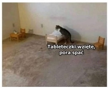 76962bdb-6f23-443d-931e-8f436df9b94f