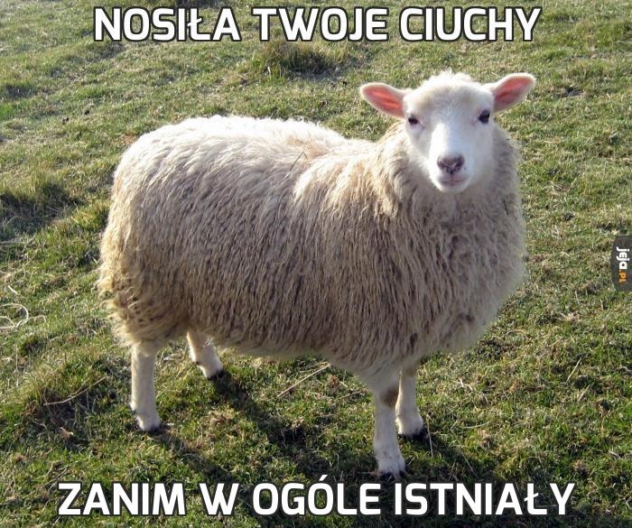 ad6ac74e-779e-46ff-b89f-4d337965bc12