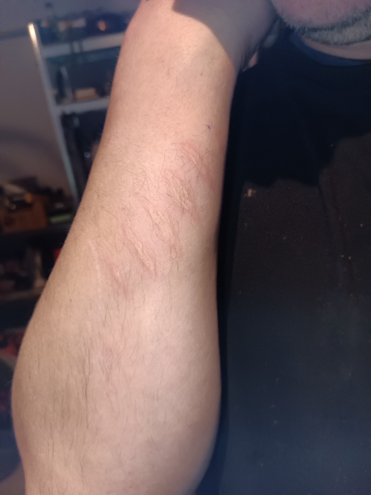 85c1b73a-049c-4738-bdc3-8cfcd24784df