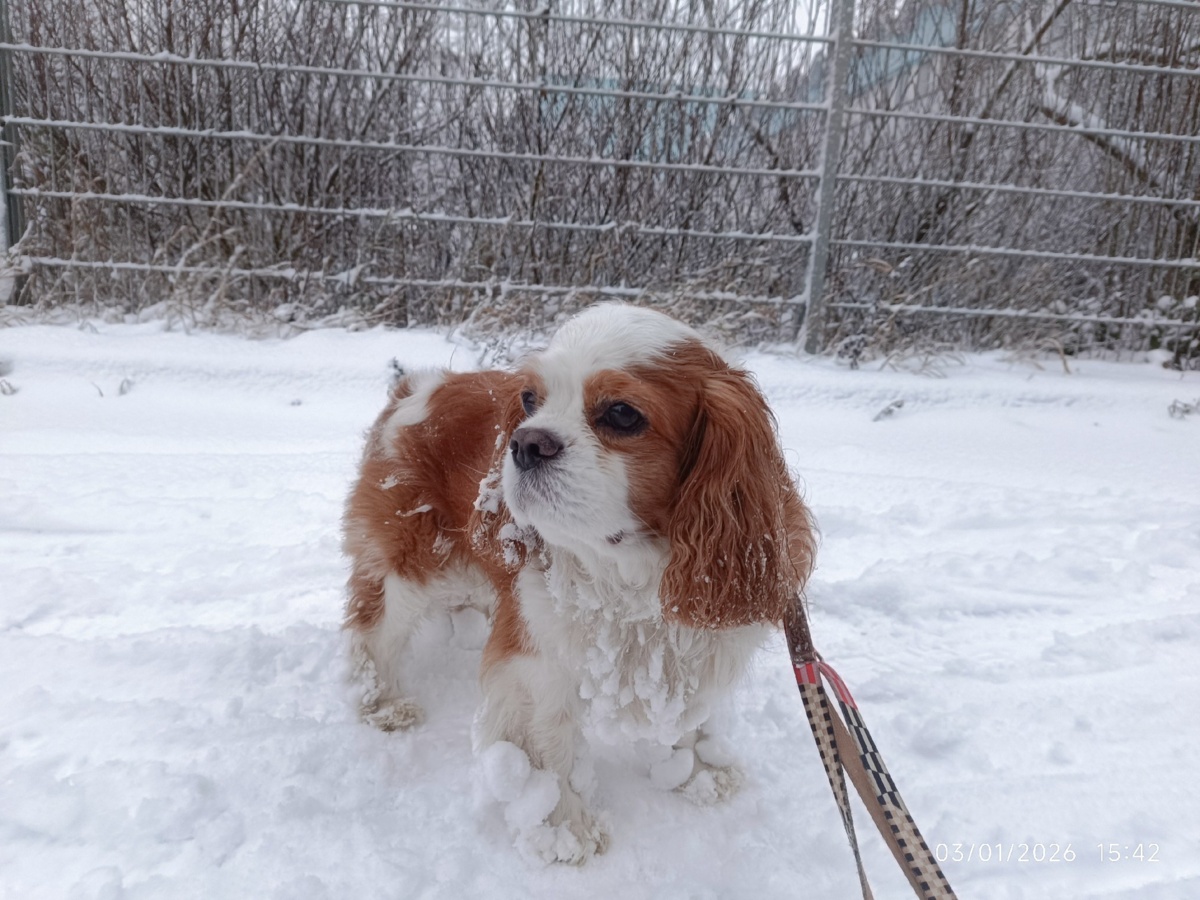 f0d4531c-622a-4d06-b6a9-7143b653cb13