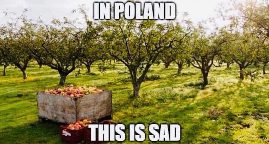 f97e4ad7-e0d5-4743-af50-f8ddb060cc92