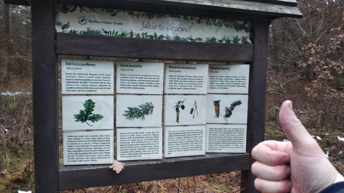 d0d73171-8777-4628-b274-4c76d21b6226