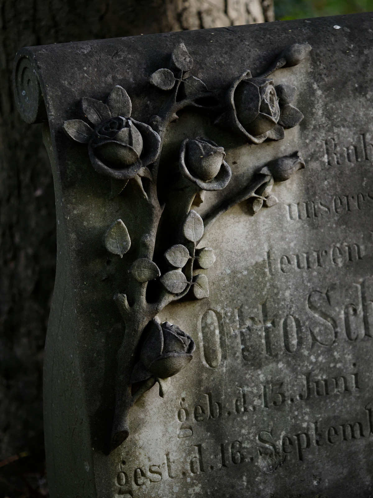 3baf5a8a-5eef-4de4-99e8-280d84a668cc