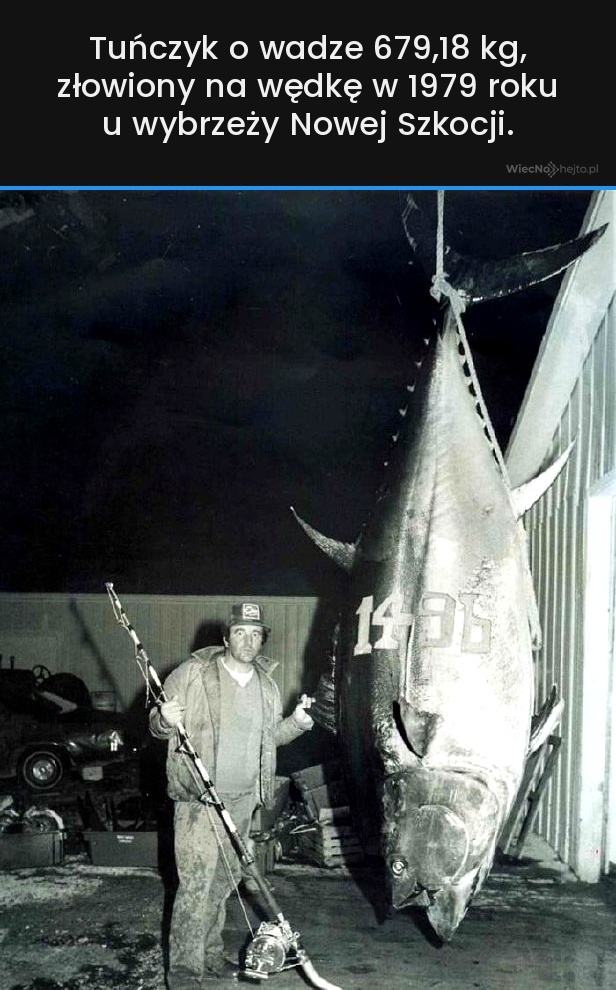 544f1f01-4f9b-4ebc-8417-68a6ab786782