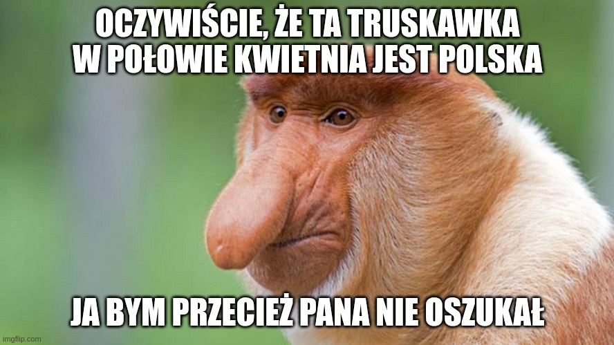 826c0243-980f-4ed8-a45a-1f95572791f6