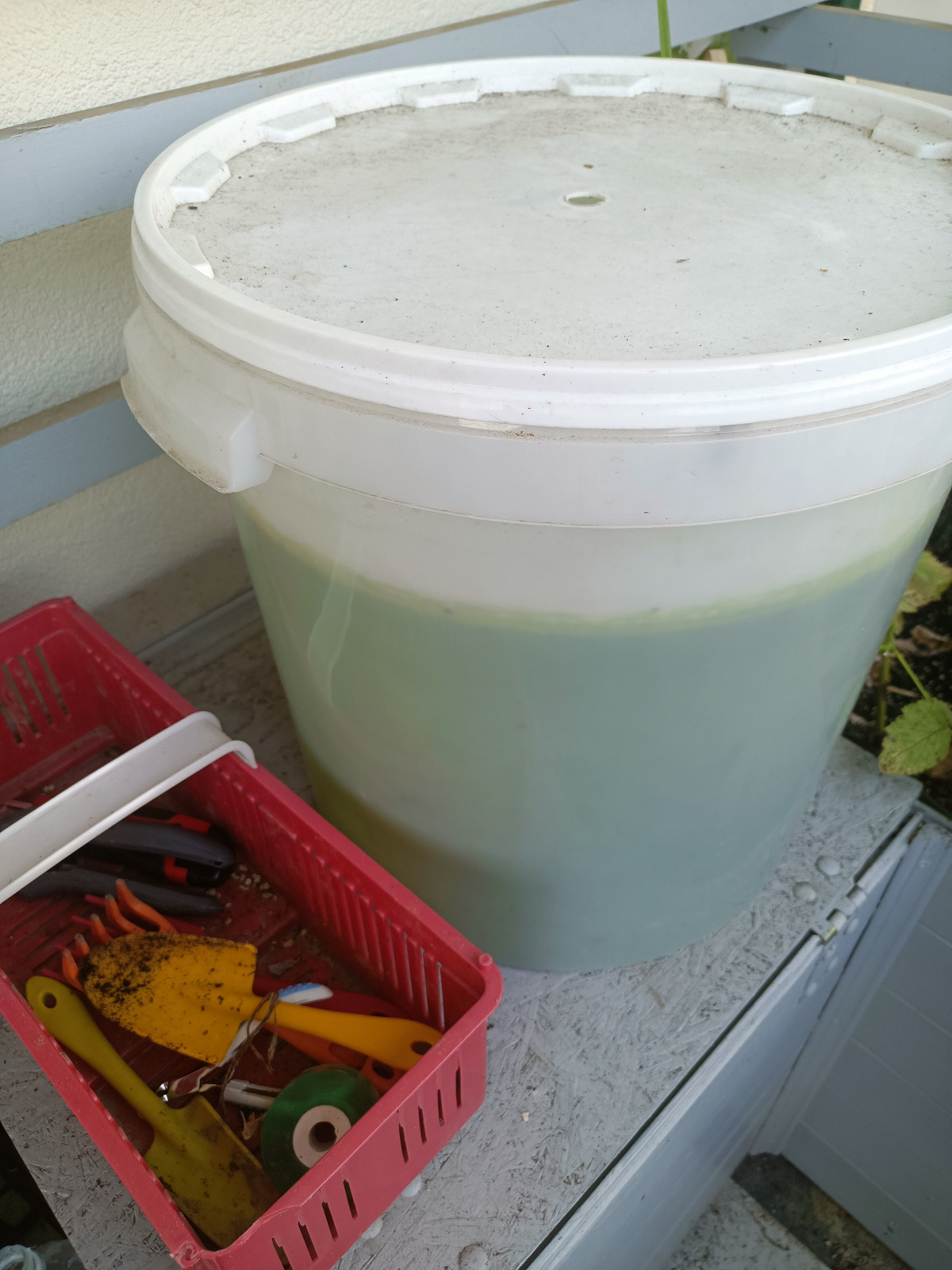 951da47a-ab77-4c26-a29a-dfe0449abb35