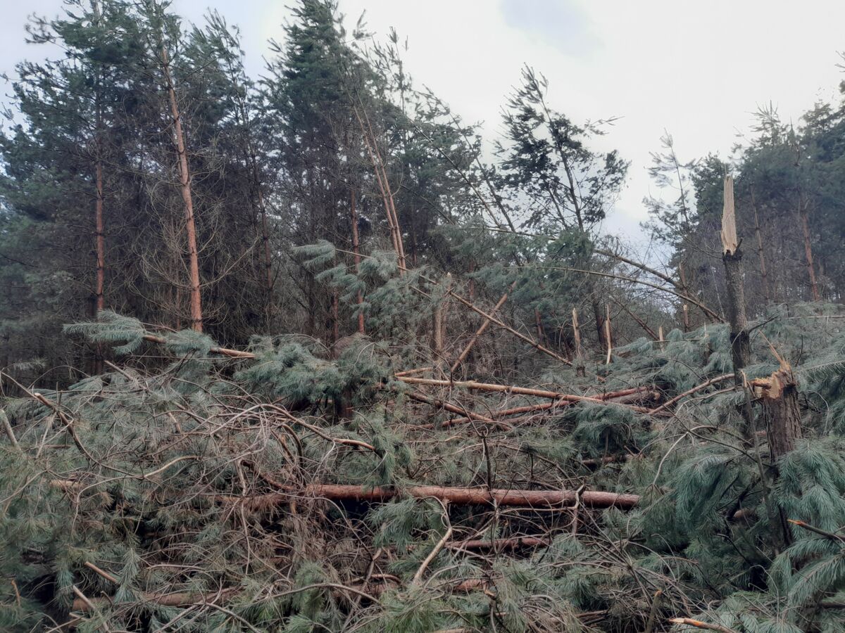 1f8e5ad2-91e4-4cc2-a60a-1e87c8406f57