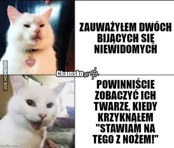 5550e47a-2629-40f8-ad91-684738f46059