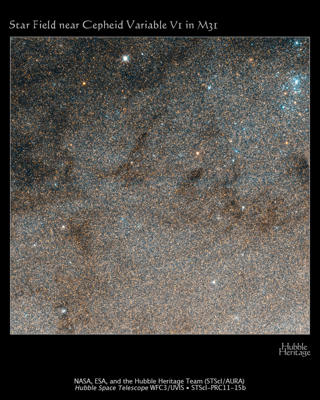 d4604338-22fd-42ed-a79a-5bdccf3a049c