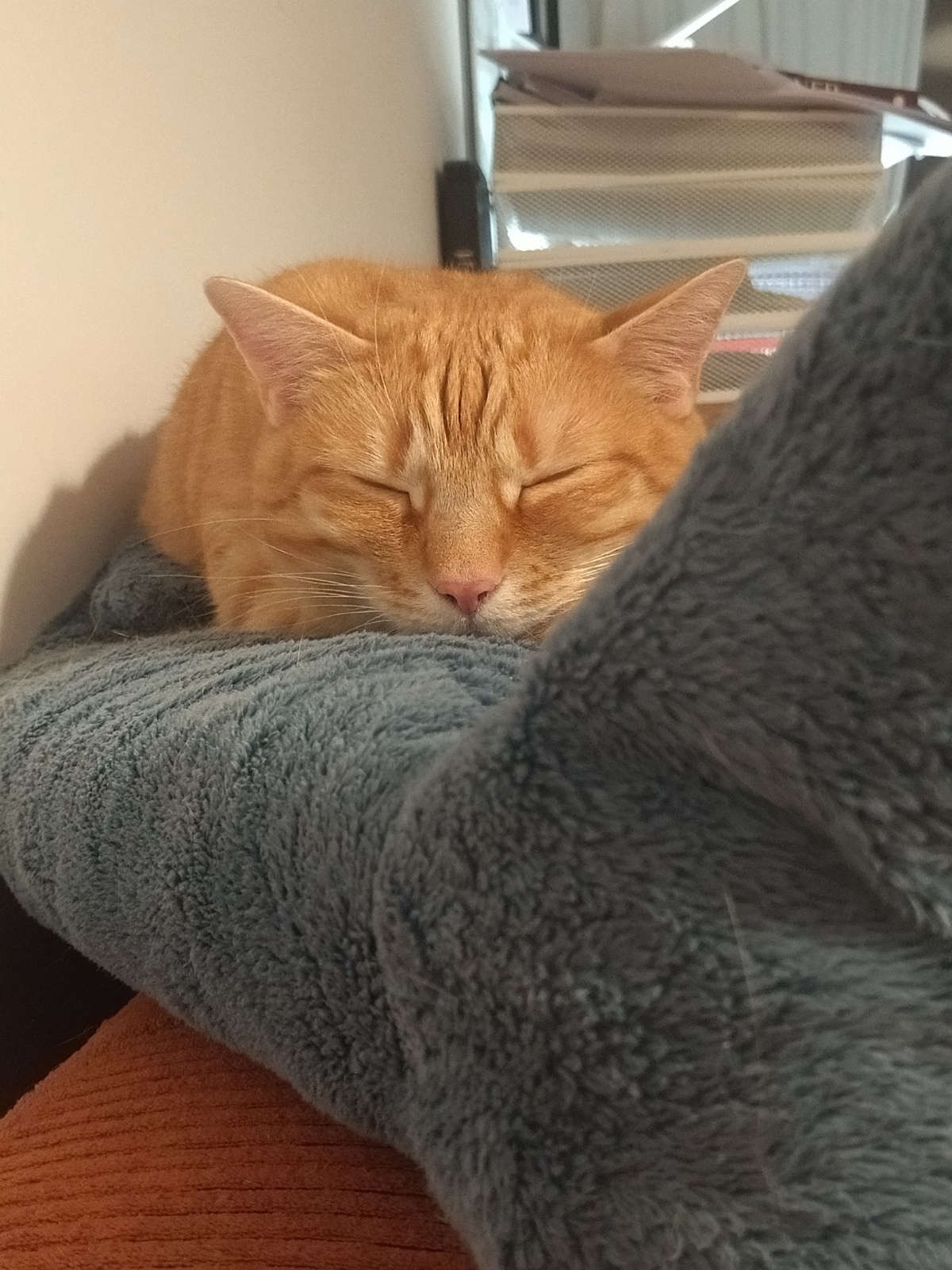 24242346-3e74-4b6f-97ea-c31b3ffa64f6