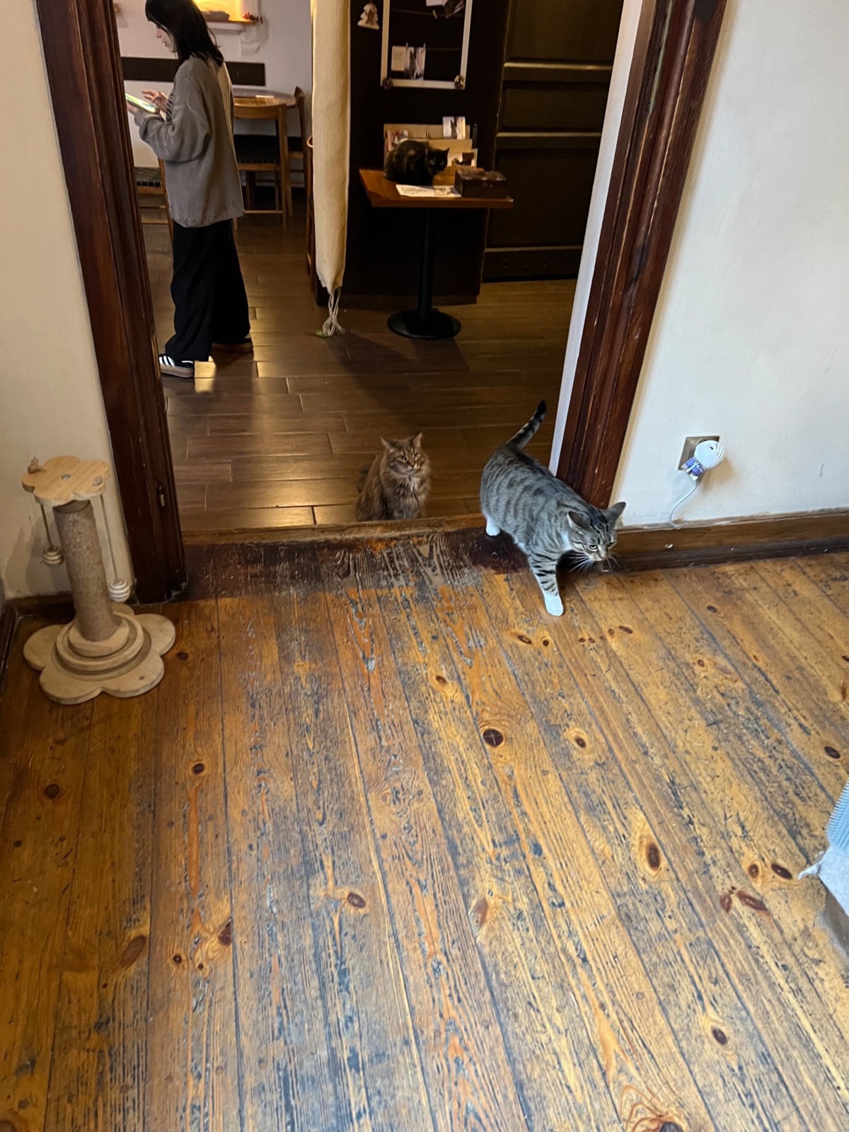 076ea504-9e9d-4aa8-bfd2-a48ad5f621d0