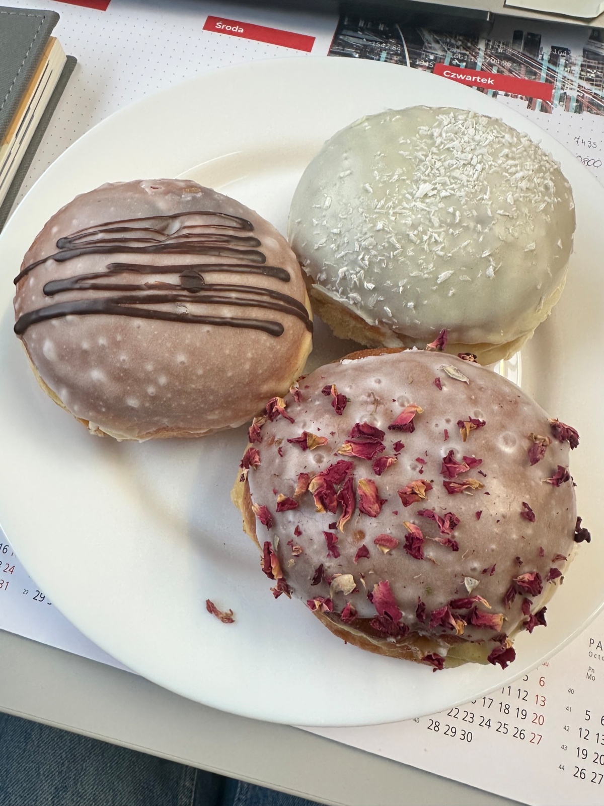 25506e3f-6f75-46d8-bf88-d1757bc9b13c