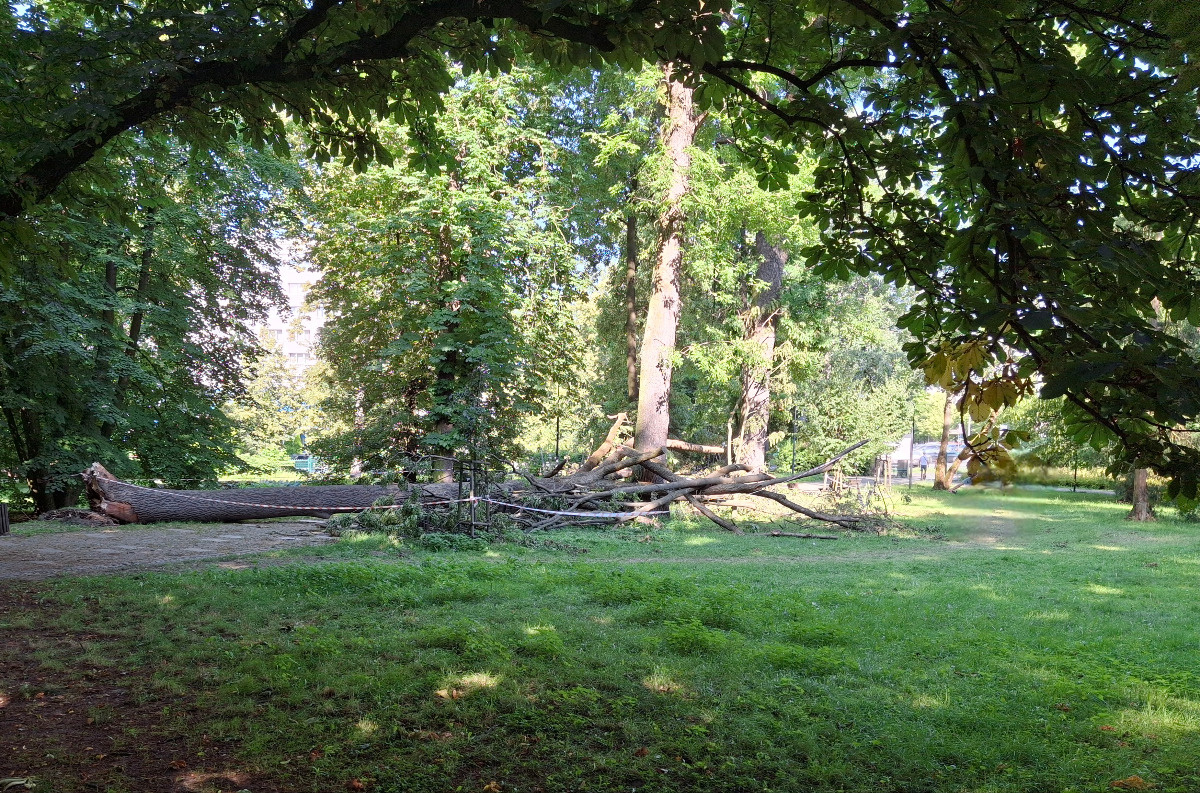 3f3d8eb2-919c-47df-b29f-e63c46ba8cf3