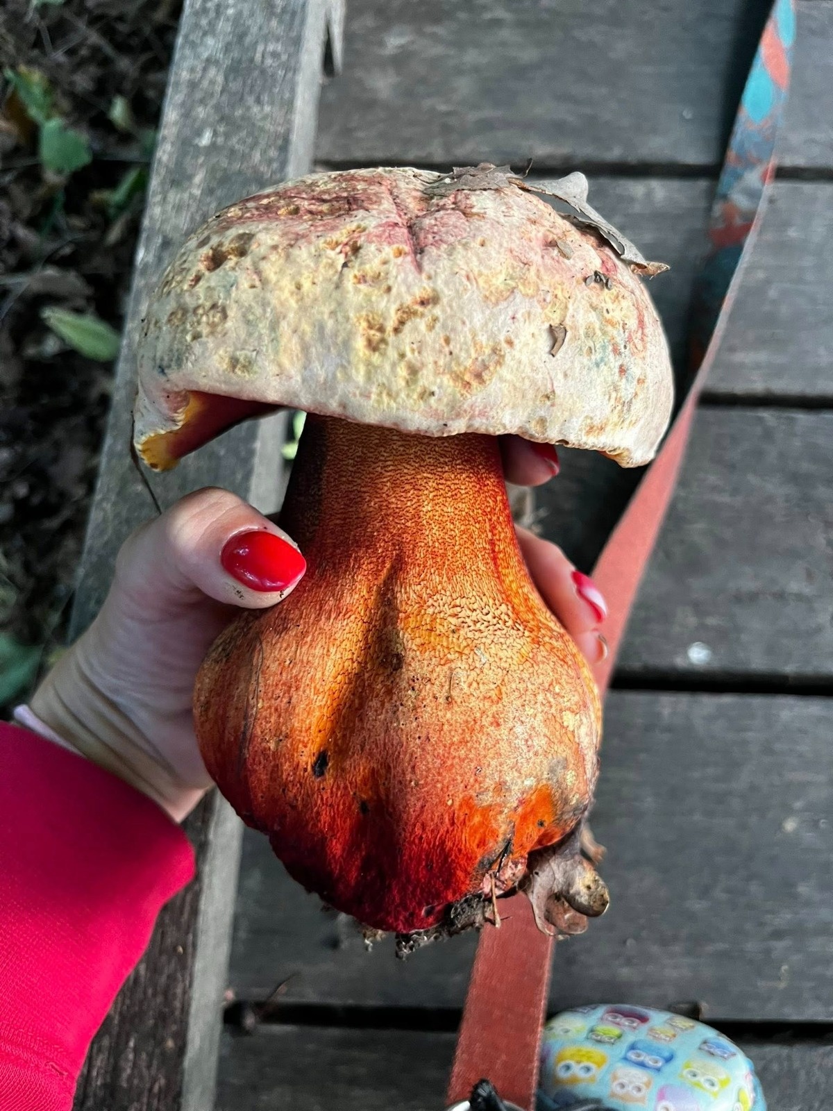 85f0f3d1-9b09-4ebf-a3a2-e6e5ffe8d578