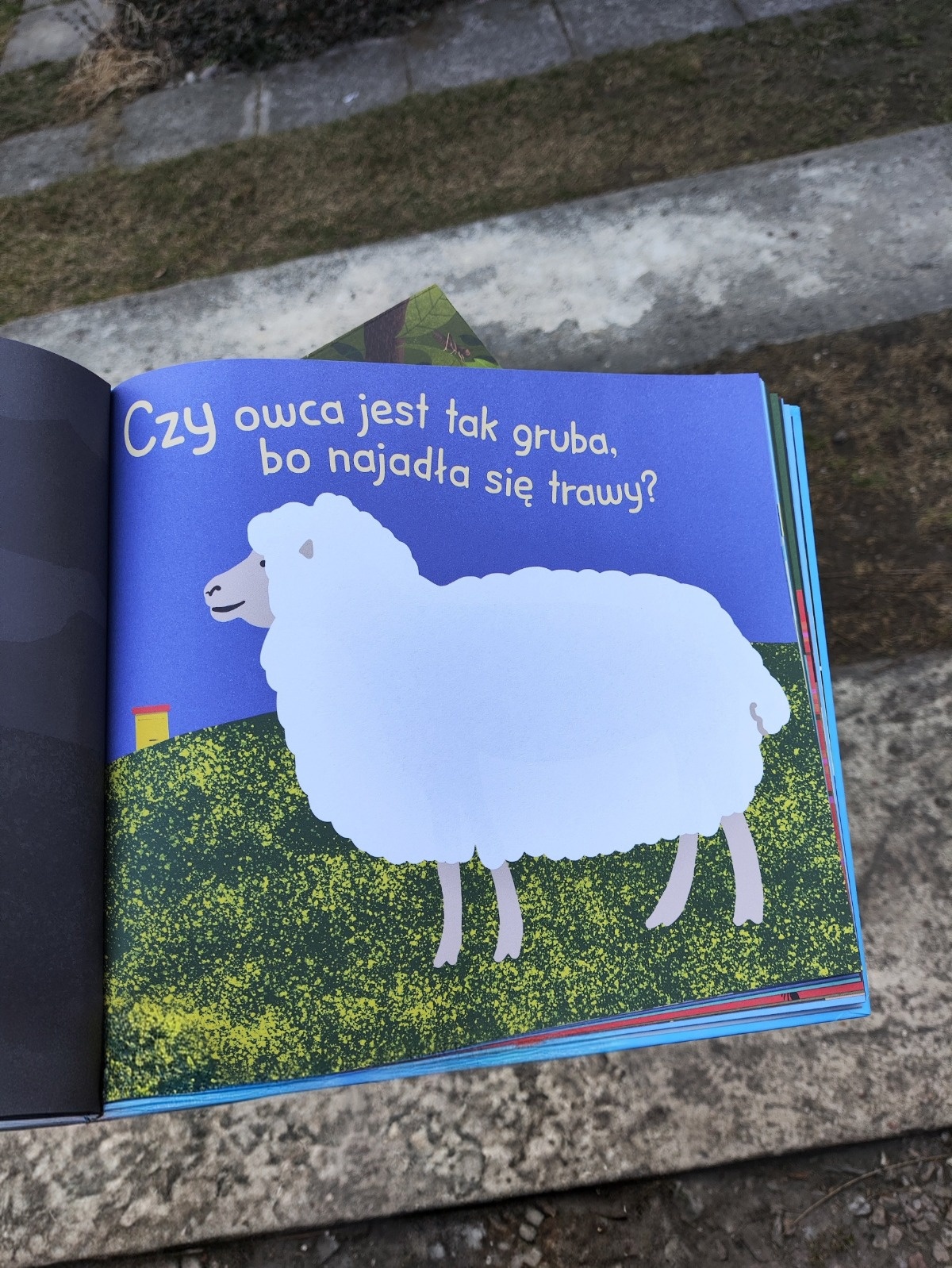 48447445-7353-43c0-ae34-9c936524b4bb