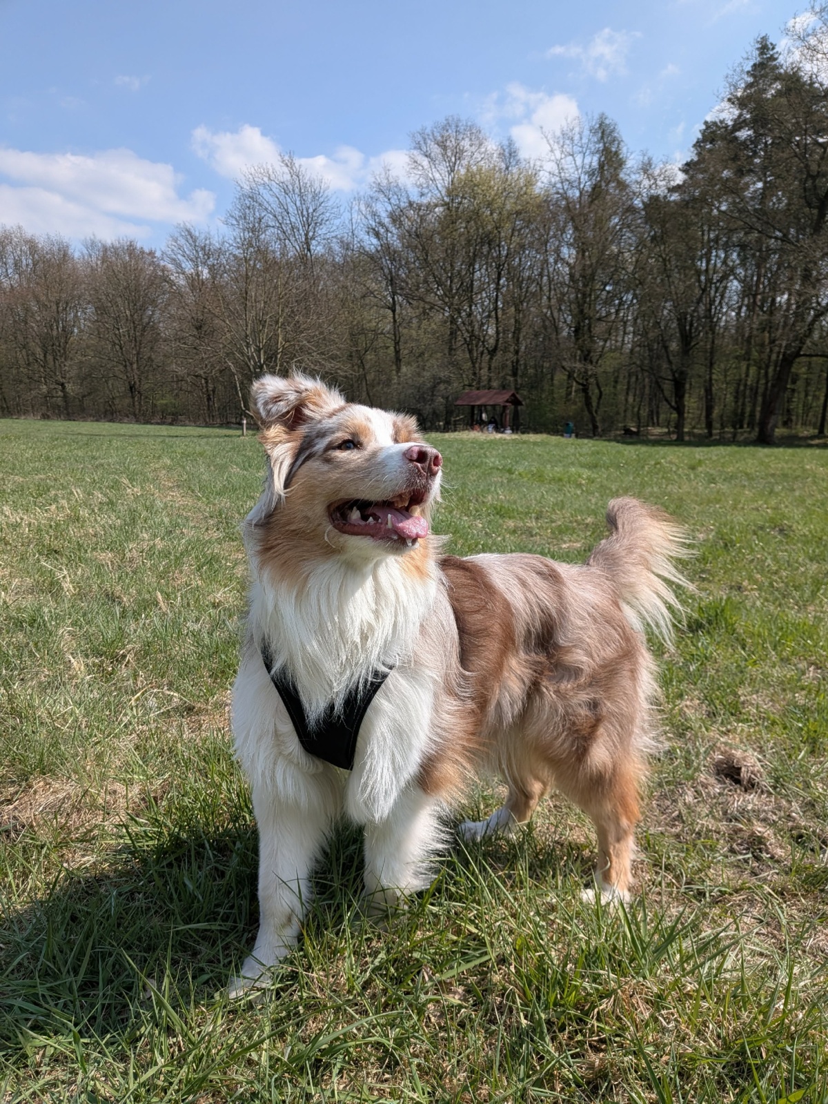 7f6289e7-5d52-49f2-a66f-dabbf4c3ed0f