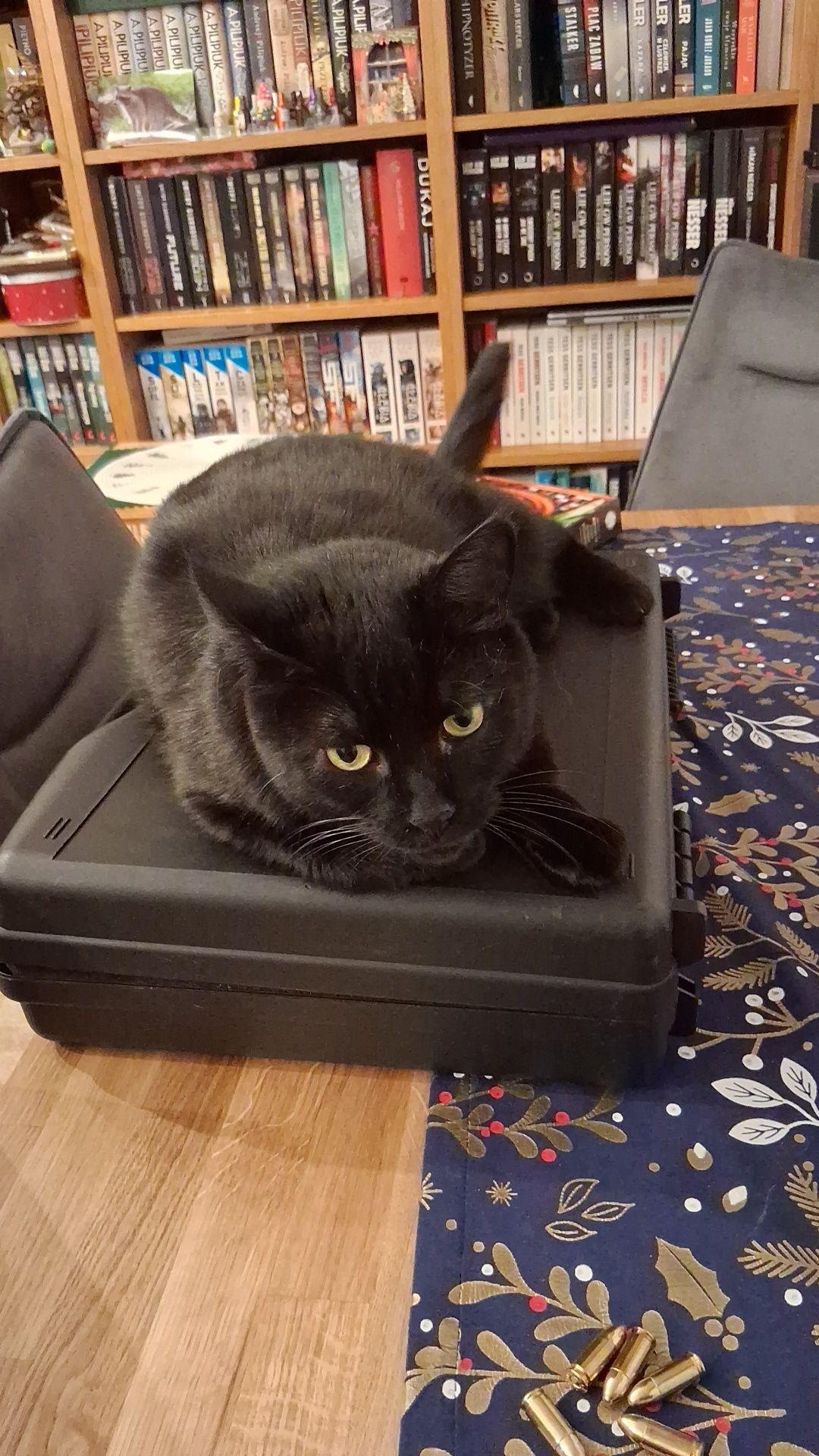 ee3937ac-9c5d-44d0-95be-123678b937c0