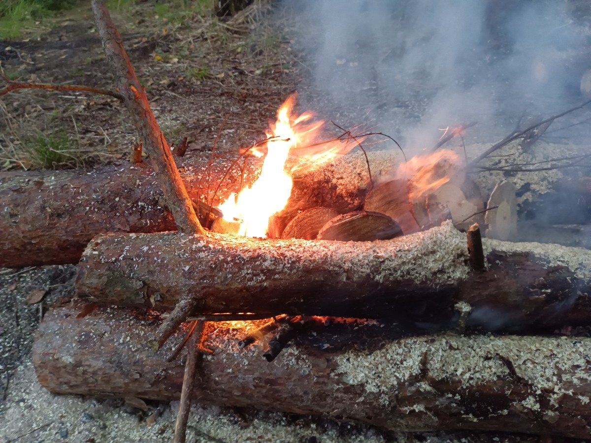 15de49d8-2785-479f-82e0-74a26cf226da